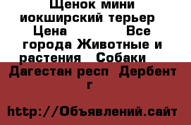 Щенок мини иокширский терьер › Цена ­ 10 000 - Все города Животные и растения » Собаки   . Дагестан респ.,Дербент г.